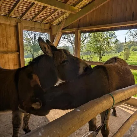 Hameau Des Galottieres-perche, Immersion Nature A 2h De Paris