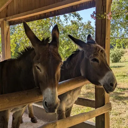 Hameau Des Galottieres-perche, Immersion Nature A 2h De Paris Ceton