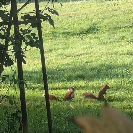 Hameau Des Galottieres-perche, Immersion Nature A 2h De Paris * Ceton