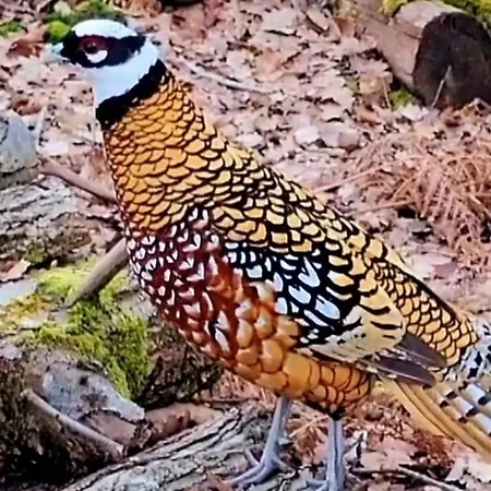 Hameau Des Galottieres-perche, Immersion Nature A 2h De Paris