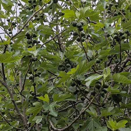 Сasa de vacaciones Hameau Des Galottieres-perche, Immersion Nature A 2h De Paris