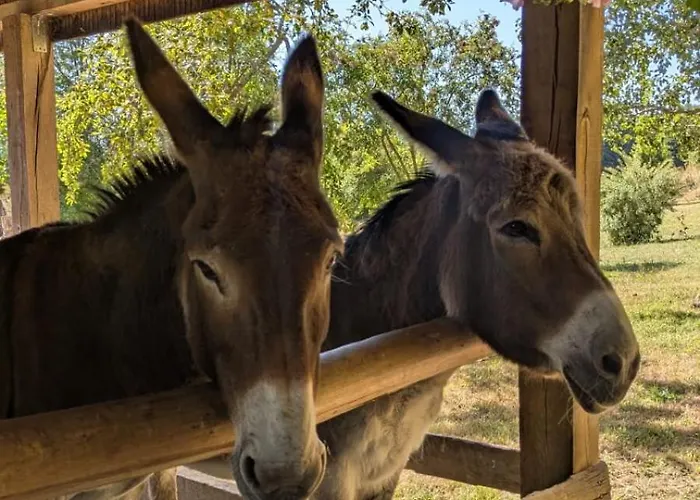 Hameau Des Galottières-perche, Immersion Nature à 2h De Paris Ceton
