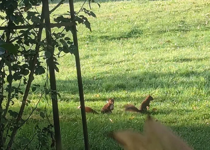 Hameau Des Galottières-perche, Immersion Nature à 2h De Paris * Ceton