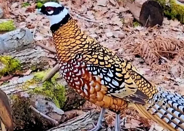 Hameau Des Galottières-perche, Immersion Nature à 2h De Paris